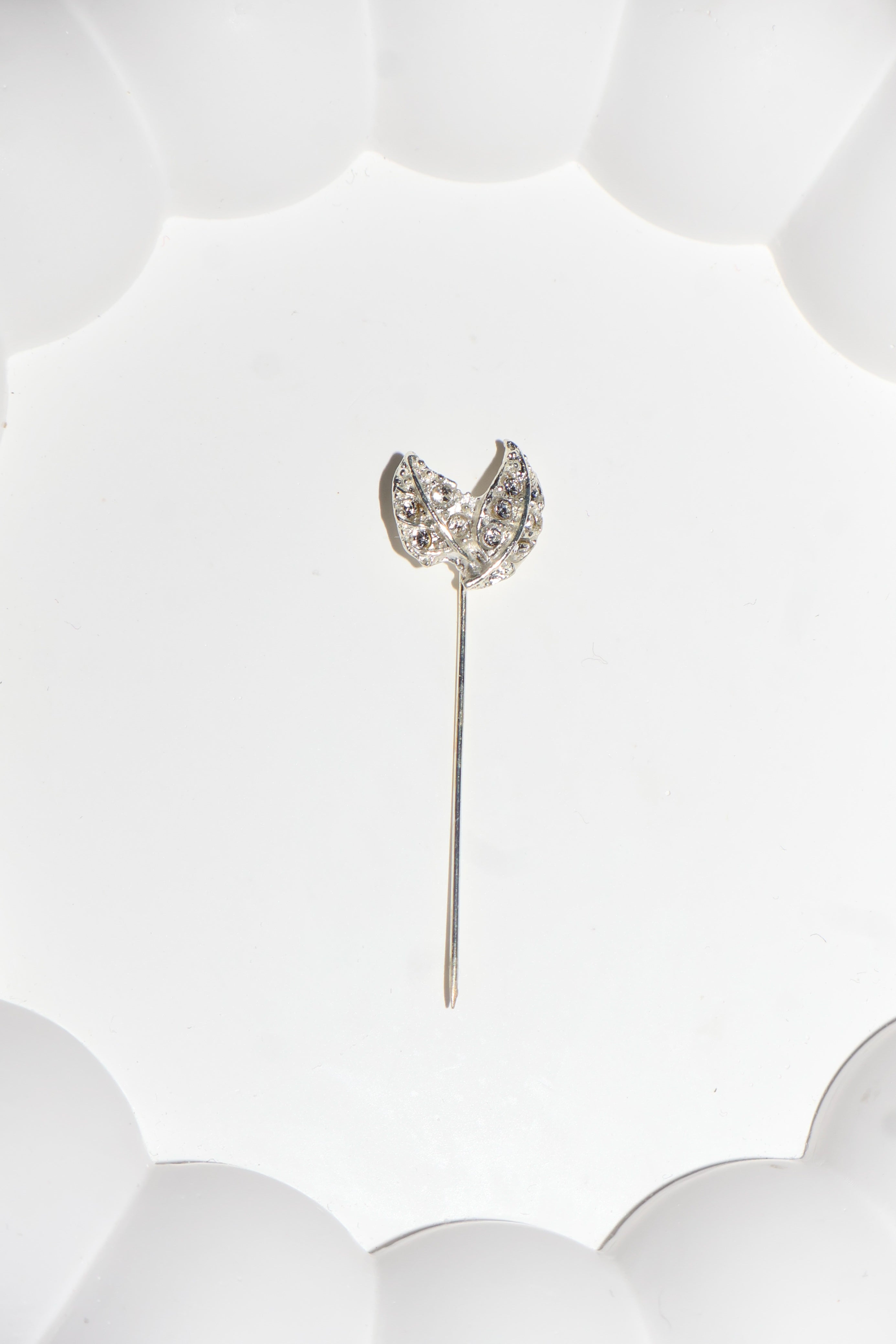 Süslü iğne yaprak beyaz taş